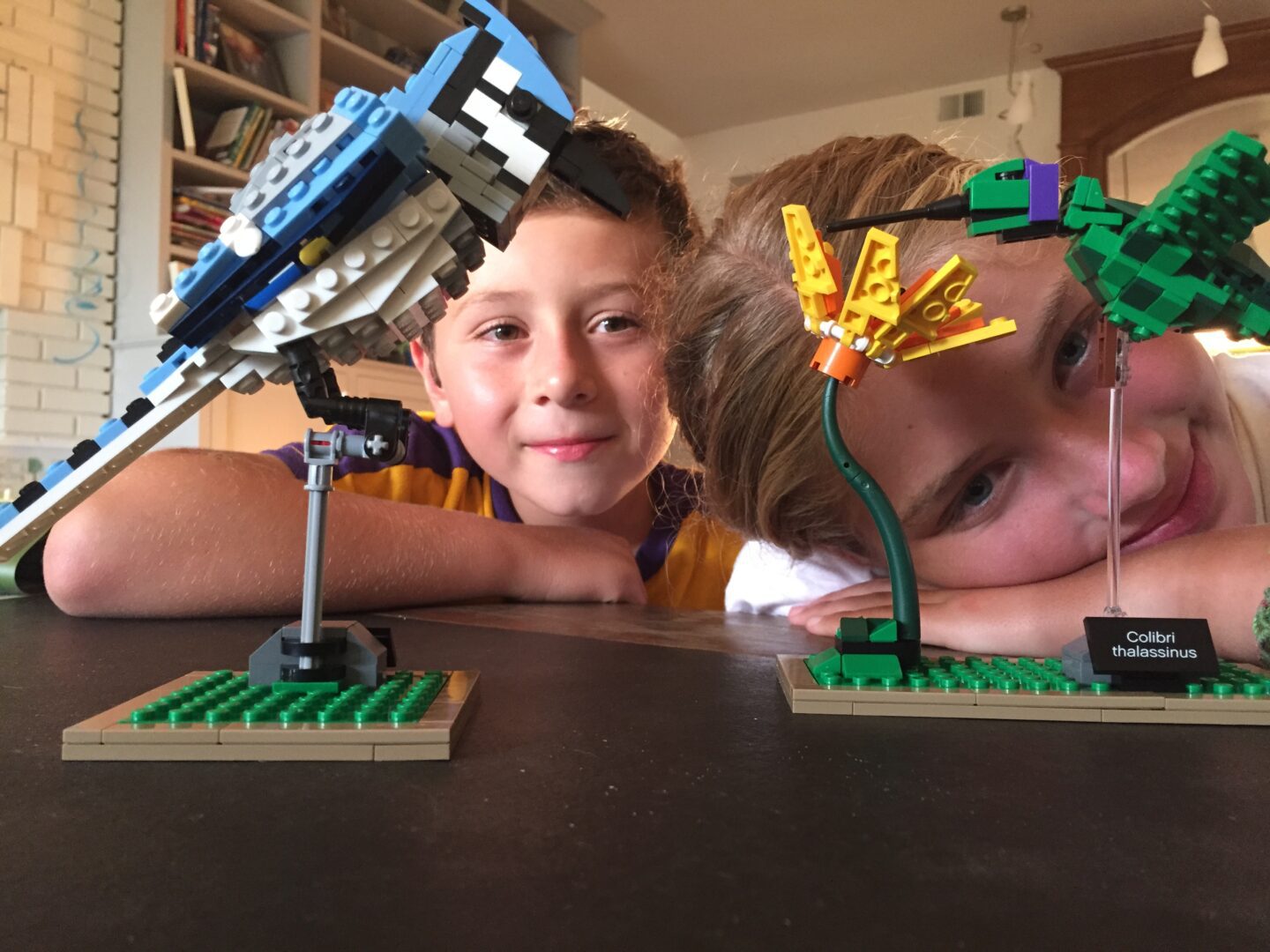 lego casey and emmett
